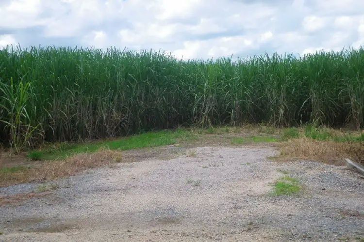 Second view of Homely rural property listing, Lot 3 Scotts Road, Lannercost QLD 4850