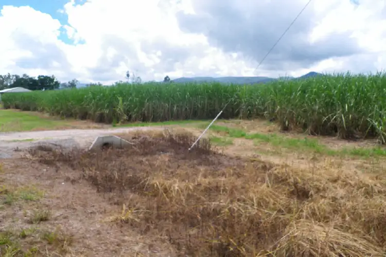Third view of Homely rural property listing, Lot 3 Scotts Road, Lannercost QLD 4850
