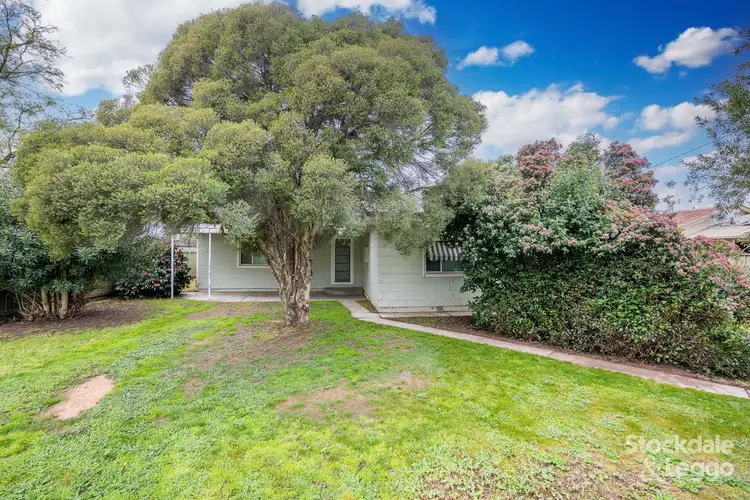 Main view of Homely house listing, 22 Williams Street, Numurkah VIC 3636