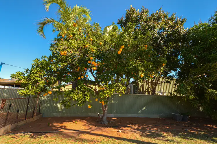 Sixth view of Homely house listing, 10 Craig Street, Port Hedland WA 6721