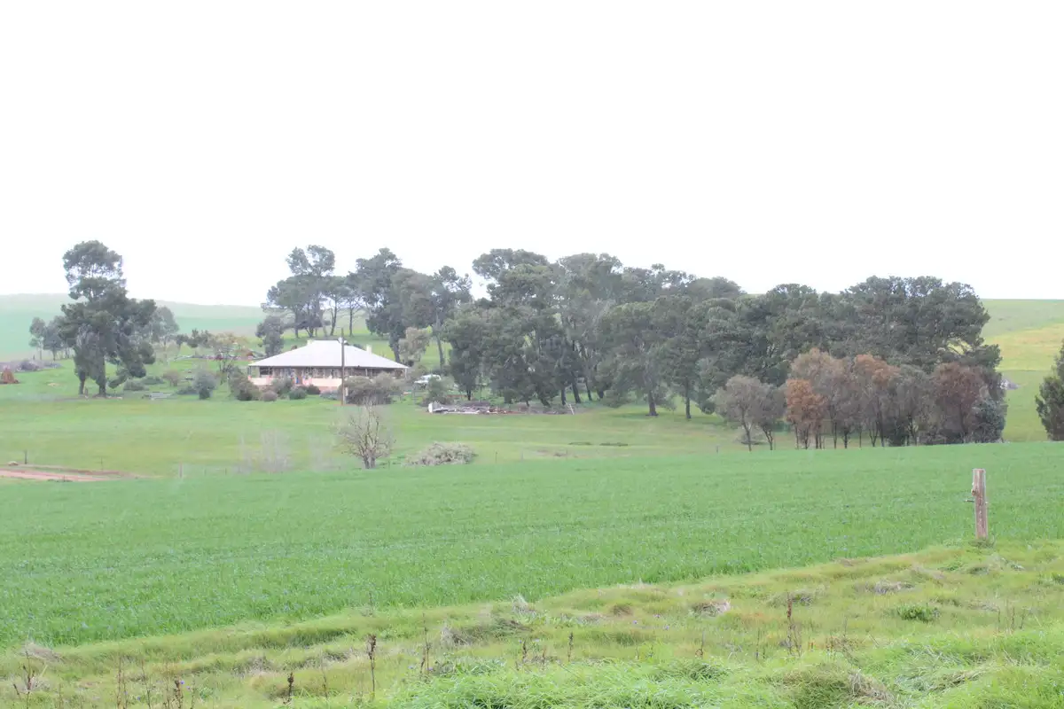 Main view of Homely rural property listing, 381 Humphries Road, Leighton SA 5417