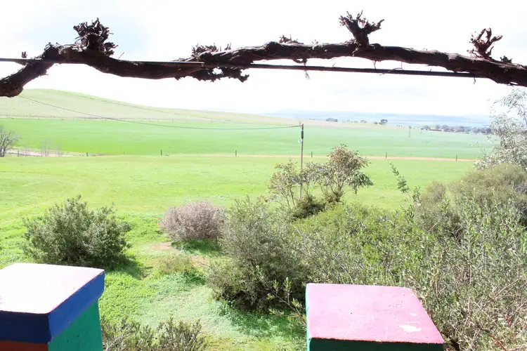 Fourth view of Homely rural property listing, 381 Humphries Road, Leighton SA 5417