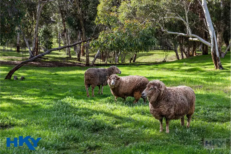 Sixth view of Homely house listing, 168 Ridgetop Ramble, Bindoon WA 6502