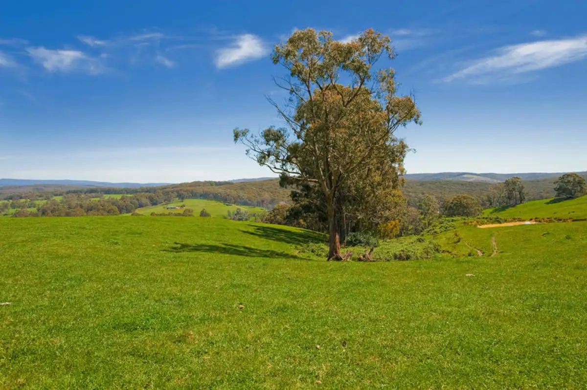 Main view of Homely rural property listing, 127 Cashins Road, Kawarren VIC 3249