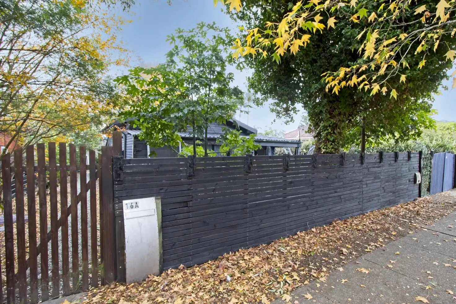 Main view of Homely house listing, 16 Hilmer Street, Frenchs Forest NSW 2086