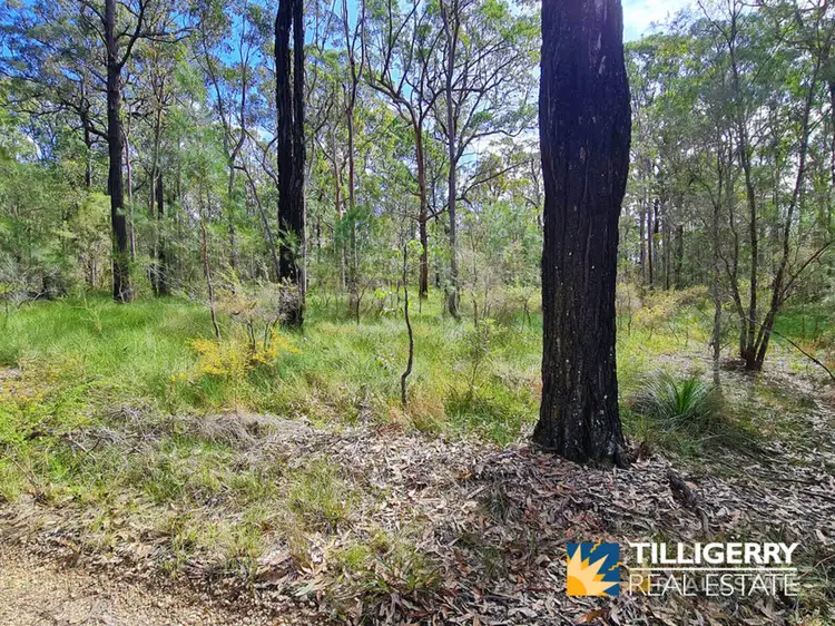 LOT 121 Moree Place, North Arm Cove NSW 2324