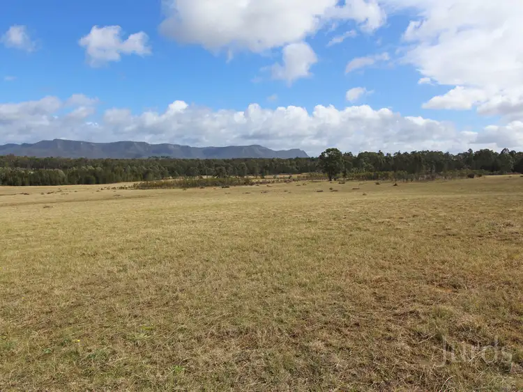 LOT 89, Cnr McDonalds Road & Palmers Lane, Pokolbin NSW 2320