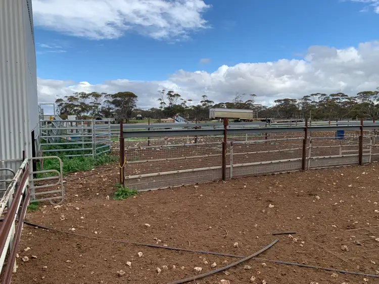 Seventh view of Homely rural property listing, 45/121 Maggea Road, Boolgun SA 5330