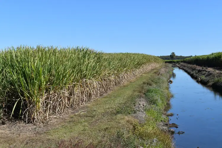 Third view of Homely land listing, 249 Hills Road, Welcome Creek QLD 4670