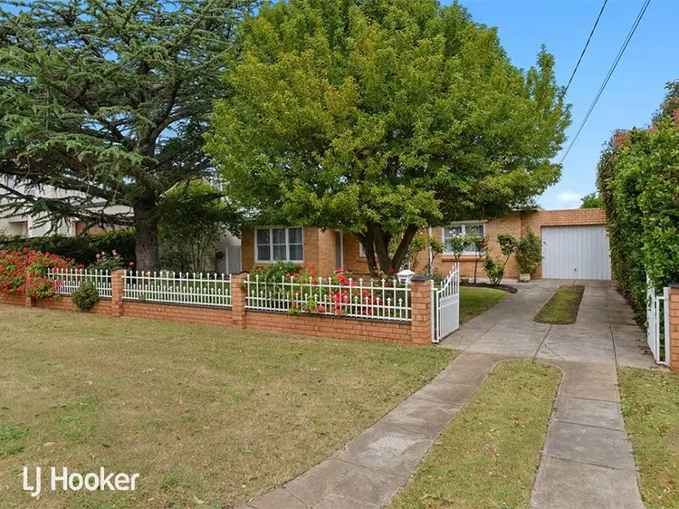 Fourth view of Homely house listing, 36 Central Avenue, Magill SA 5072