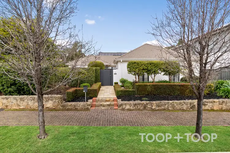 48 Highfield Avenue, St Georges SA 5064