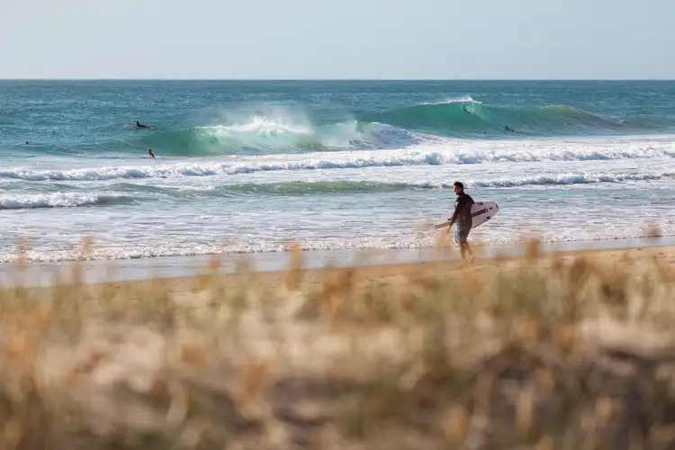 39 Mandara Drive, Wurtulla QLD 4575