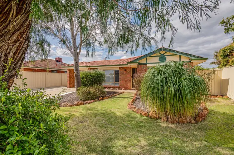 19 Jaffa Close, Seville Grove WA 6112