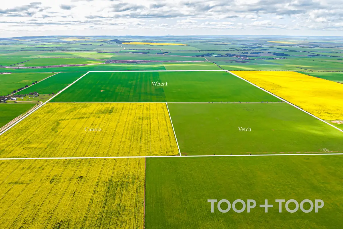 Main view of Homely rural property listing, Section 22 / 355 Pfitzner Road, Butler SA 5605