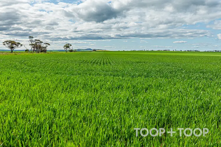 Fifth view of Homely rural property listing, Section 22 / 355 Pfitzner Road, Butler SA 5605