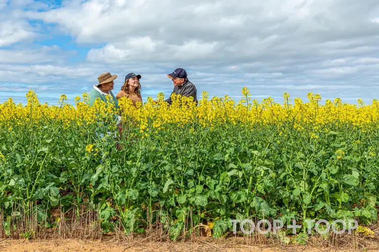 Sixth view of Homely rural property listing, Section 22 / 355 Pfitzner Road, Butler SA 5605