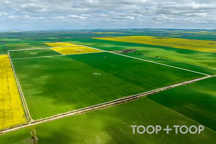 Seventh view of Homely rural property listing, Section 22 / 355 Pfitzner Road, Butler SA 5605