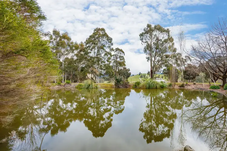 Fifth view of Homely house listing, 16 John R Hodgson Drive, Yackandandah VIC 3749
