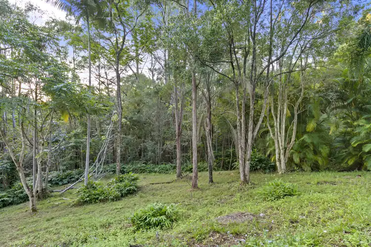 Third view of Homely house listing, 29-31 Crescent Road, Eumundi QLD 4562