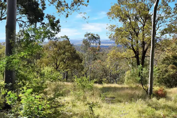Second view of Homely rural property listing, 115 Littlewood Road, North Rothbury NSW 2335