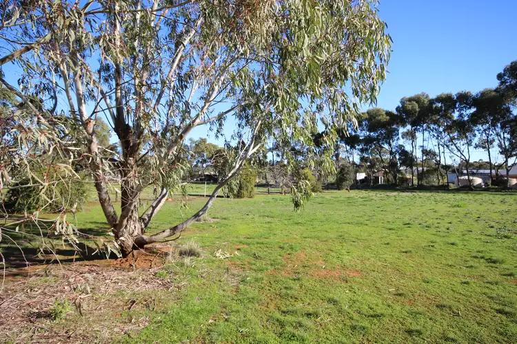 Seventh view of Homely land listing, 30 Globe Street, Auburn SA 5451