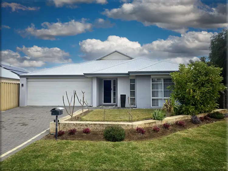 Main view of Homely house listing, 19 Oxted Link, Butler WA 6036