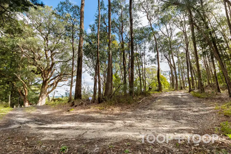 Sixth view of Homely land listing, 364 Carey Gully Road, Mount George SA 5155