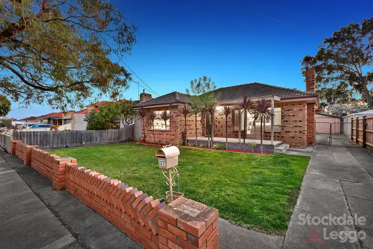 Main view of Homely house listing, 37 David Street, Hadfield VIC 3046