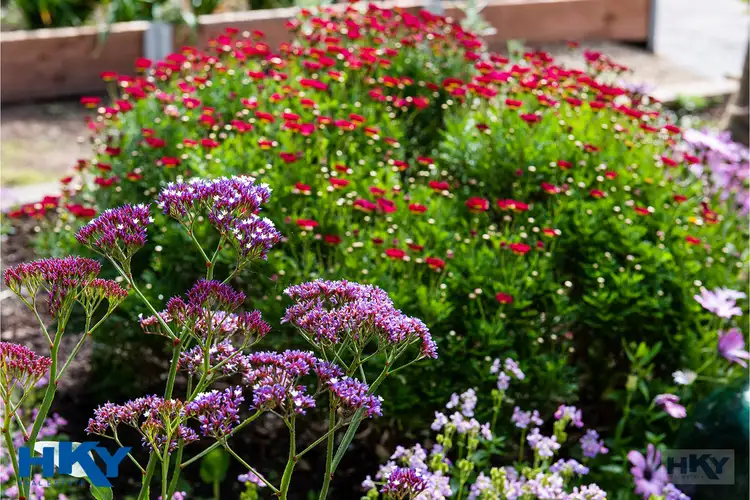 Second view of Homely house listing, 71 St Andrews Drive, Yanchep WA 6035