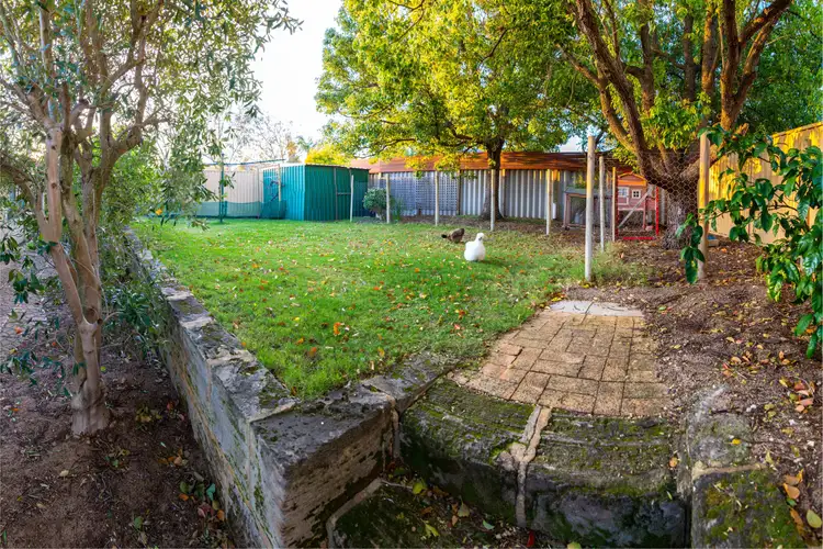 29 Argyle Place, Yangebup WA 6164