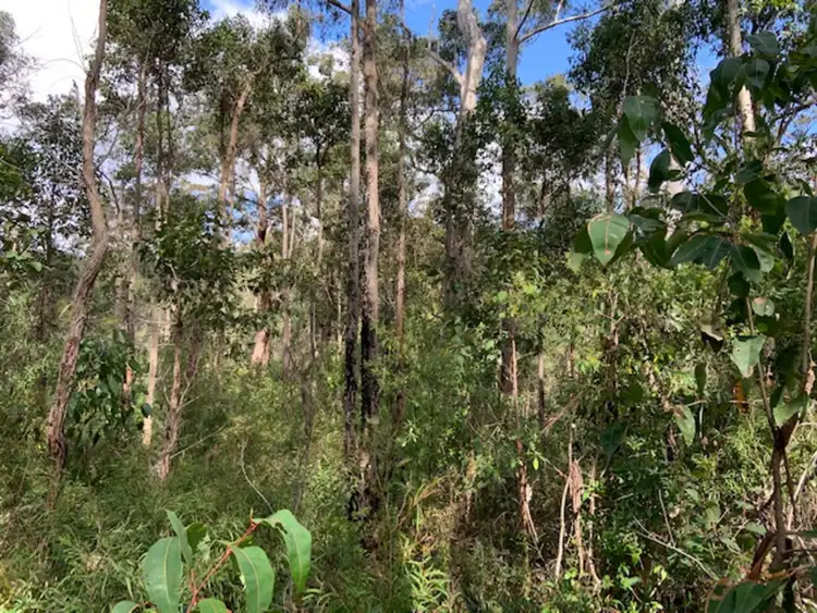 Second view of Homely land listing, LOT 103 Titree Glen, Quinninup WA 6258