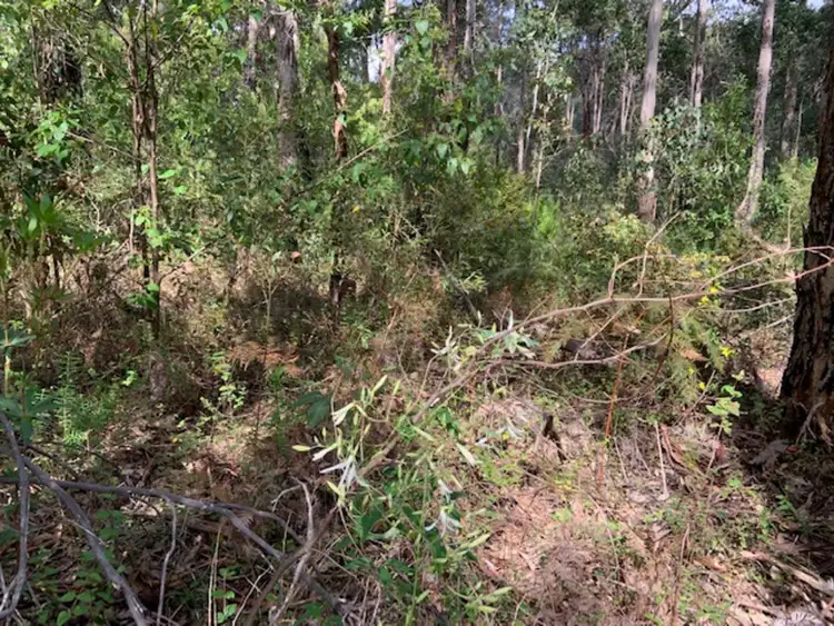 Fourth view of Homely land listing, LOT 103 Titree Glen, Quinninup WA 6258