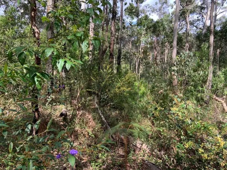 Seventh view of Homely land listing, LOT 103 Titree Glen, Quinninup WA 6258