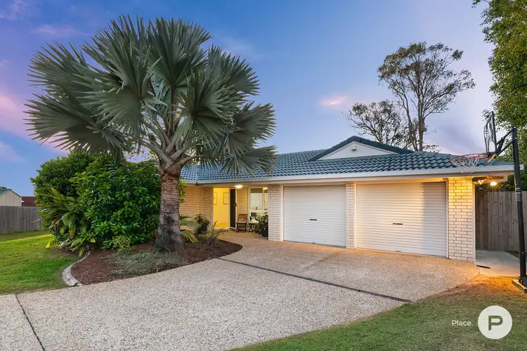 19 Buckinghamia Place, Stretton QLD 4116