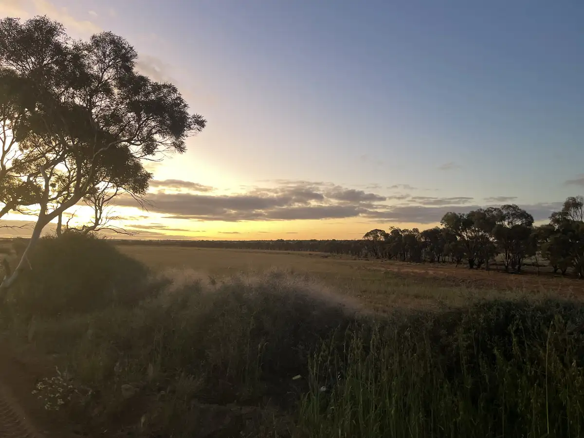 Main view of Homely rural property listing, LOT 562 Koorda Wongan Hills Road, Badgerin Rock WA 6475