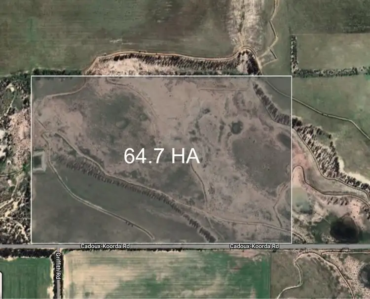 Third view of Homely rural property listing, LOT 562 Koorda Wongan Hills Road, Badgerin Rock WA 6475