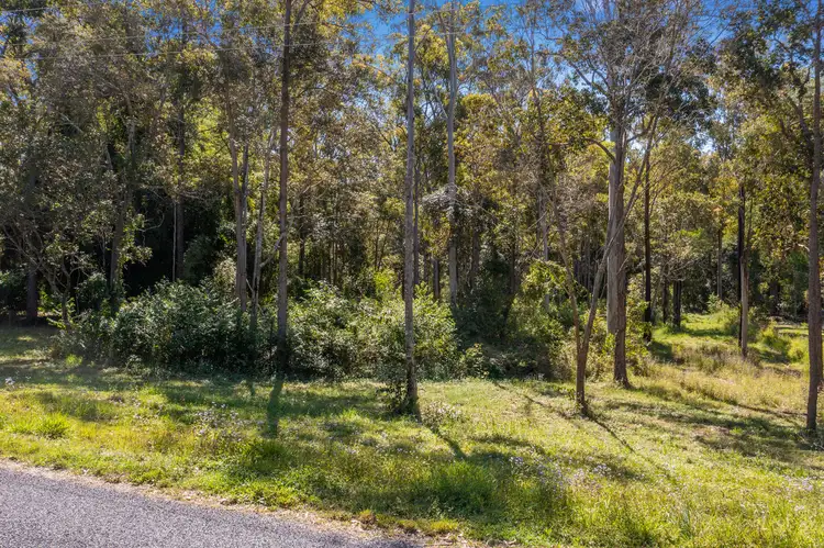 Third view of Homely land listing, LOT 237 Faine Road, Bauple QLD 4650