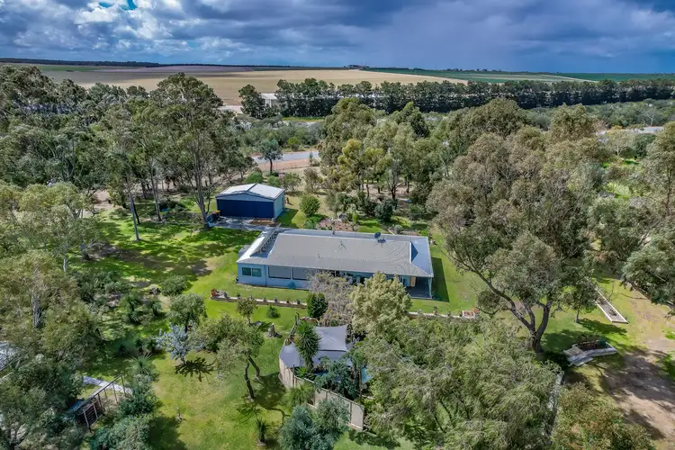 Main view of Homely house listing, 100 Woolly Bush Loop, Woodridge WA 6041