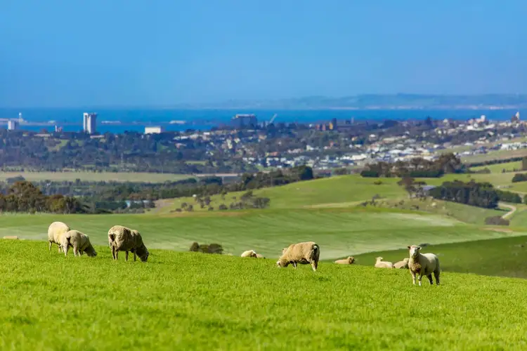 Fourth view of Homely rural property listing, 960 Barrabool Road, Barrabool VIC 3221