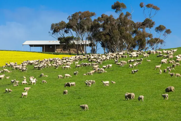 Seventh view of Homely rural property listing, 960 Barrabool Road, Barrabool VIC 3221