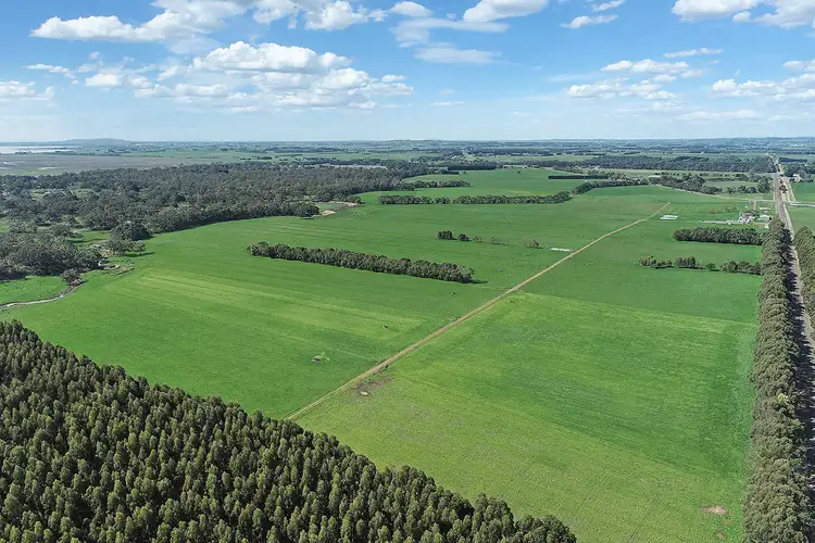 Main view of Homely rural property listing, 240 Swan Marsh Road, Pirron Yallock VIC 3249