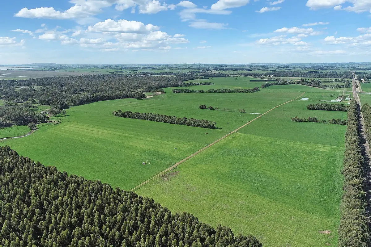 Main view of Homely rural property listing, 240 Swan Marsh Road, Pirron Yallock VIC 3249