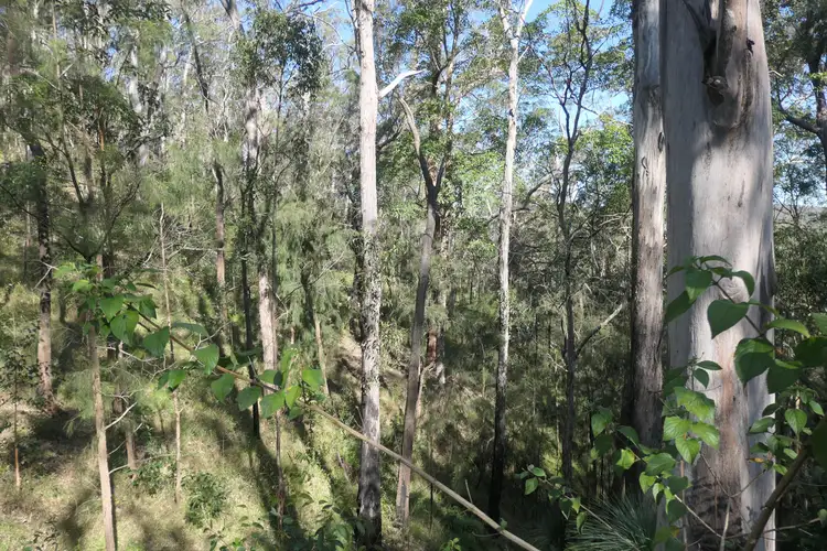 Third view of Homely rural property listing, 201-202 Bellbird Road, Drake NSW 2469