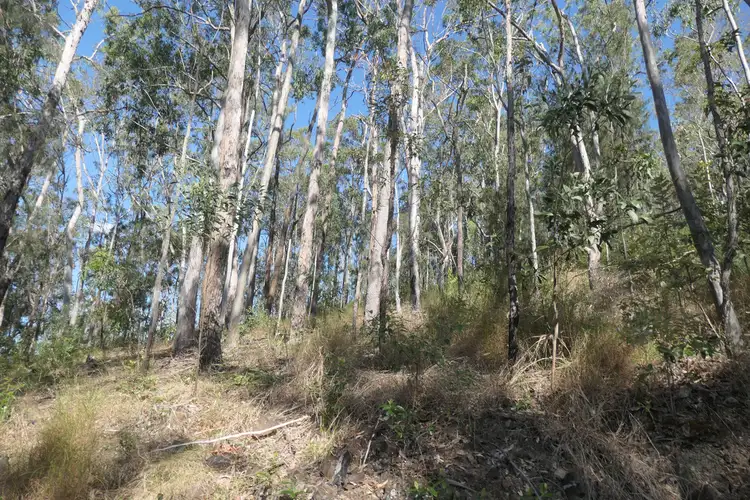 Fifth view of Homely rural property listing, 201-202 Bellbird Road, Drake NSW 2469