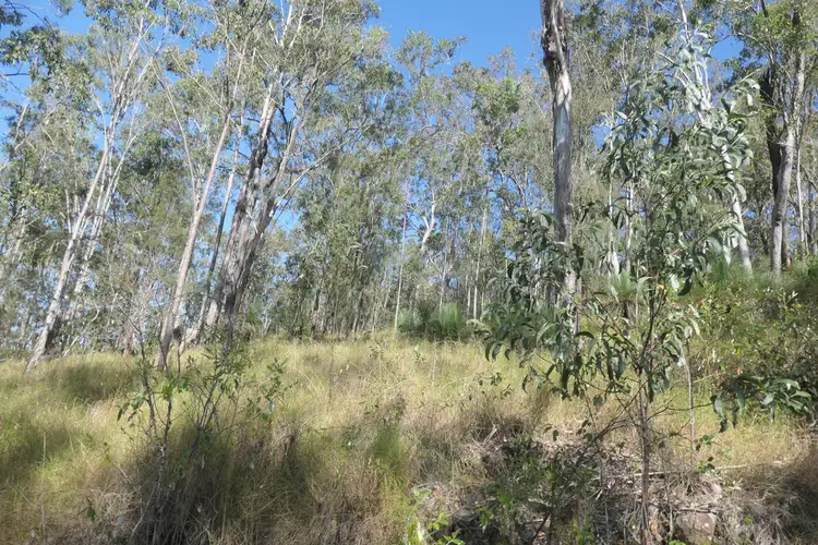 Sixth view of Homely rural property listing, 201-202 Bellbird Road, Drake NSW 2469