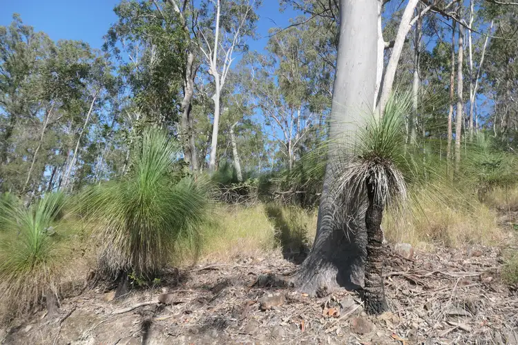 Seventh view of Homely rural property listing, 201-202 Bellbird Road, Drake NSW 2469