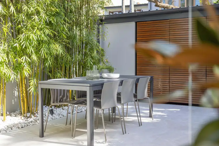 Fifth view of Homely terrace listing, 453 Liverpool Street, Darlinghurst NSW 2010
