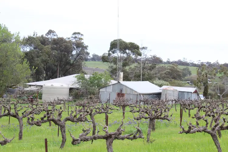 Fourth view of Homely rural property listing, 334 Blockers Road, Stanley Flat SA 5453