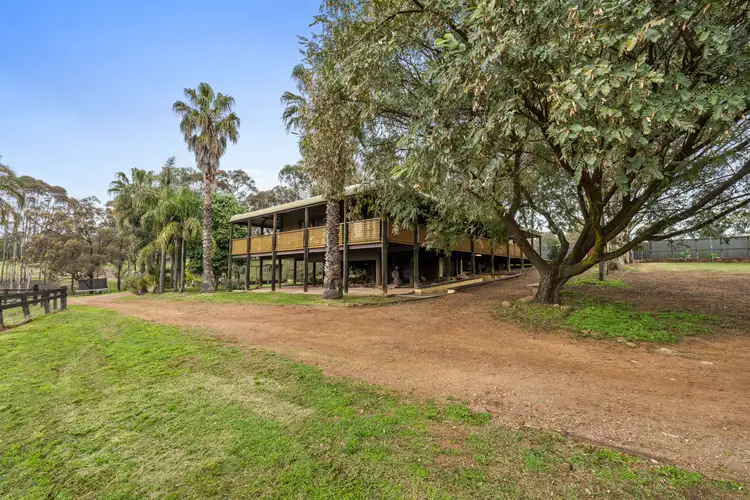 Main view of Homely rural property listing, 131 Balmoral Road, Muswellbrook NSW 2333