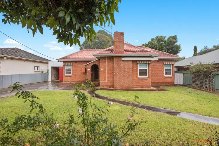 13 Ashbrook Avenue, Payneham SA 5070